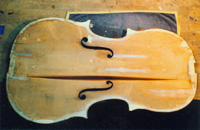 Decke einer Violine von J .B. Rogeri, Cremona 1699